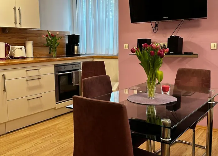 Apartment Modern In The Heart Of - Steps From The Opera Vienna